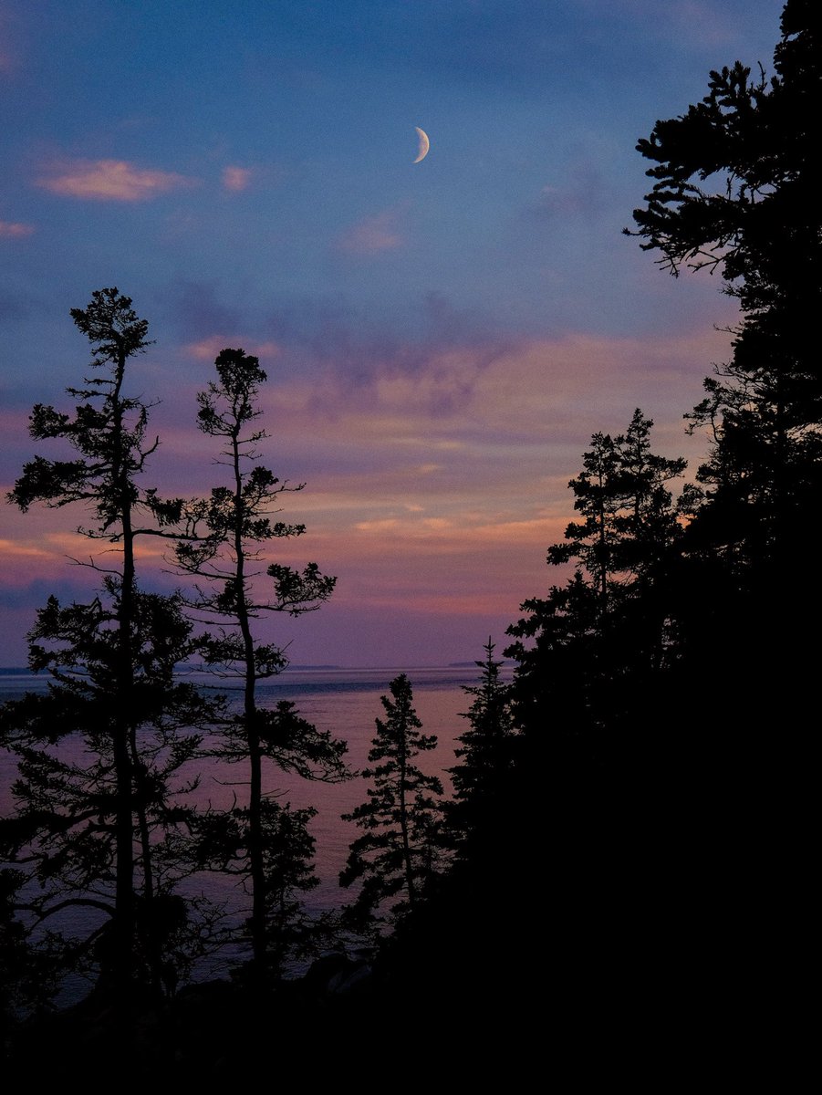 Nevin Johnson tweet media