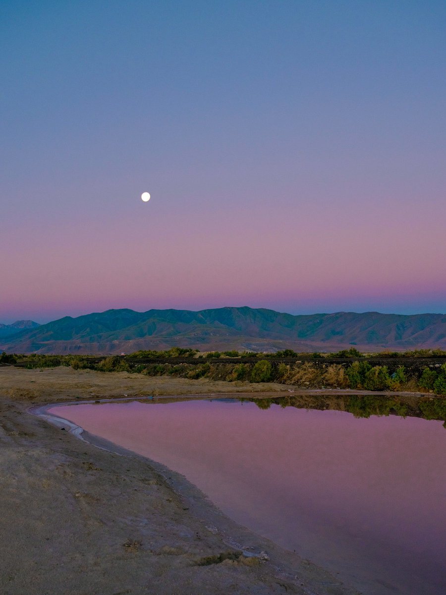 under the same moon 🌙