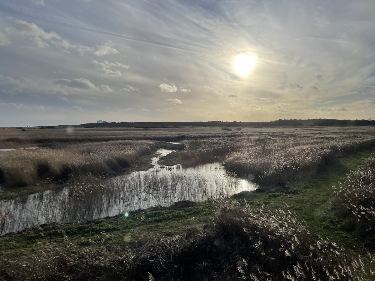 That smug feeling of advanced plans that luckily fall on the only day of good weather in the week. Catching up with <a href="/AKHoadley/">Alexandra Hoadley</a> for first time in 3 years at <a href="/RSPBMinsmere/">RSPB Minsmere 🌍</a>, bitterns and goldeneyes appearing on cue. 

Fun fact; the latter is the only bird named after a Bond film.