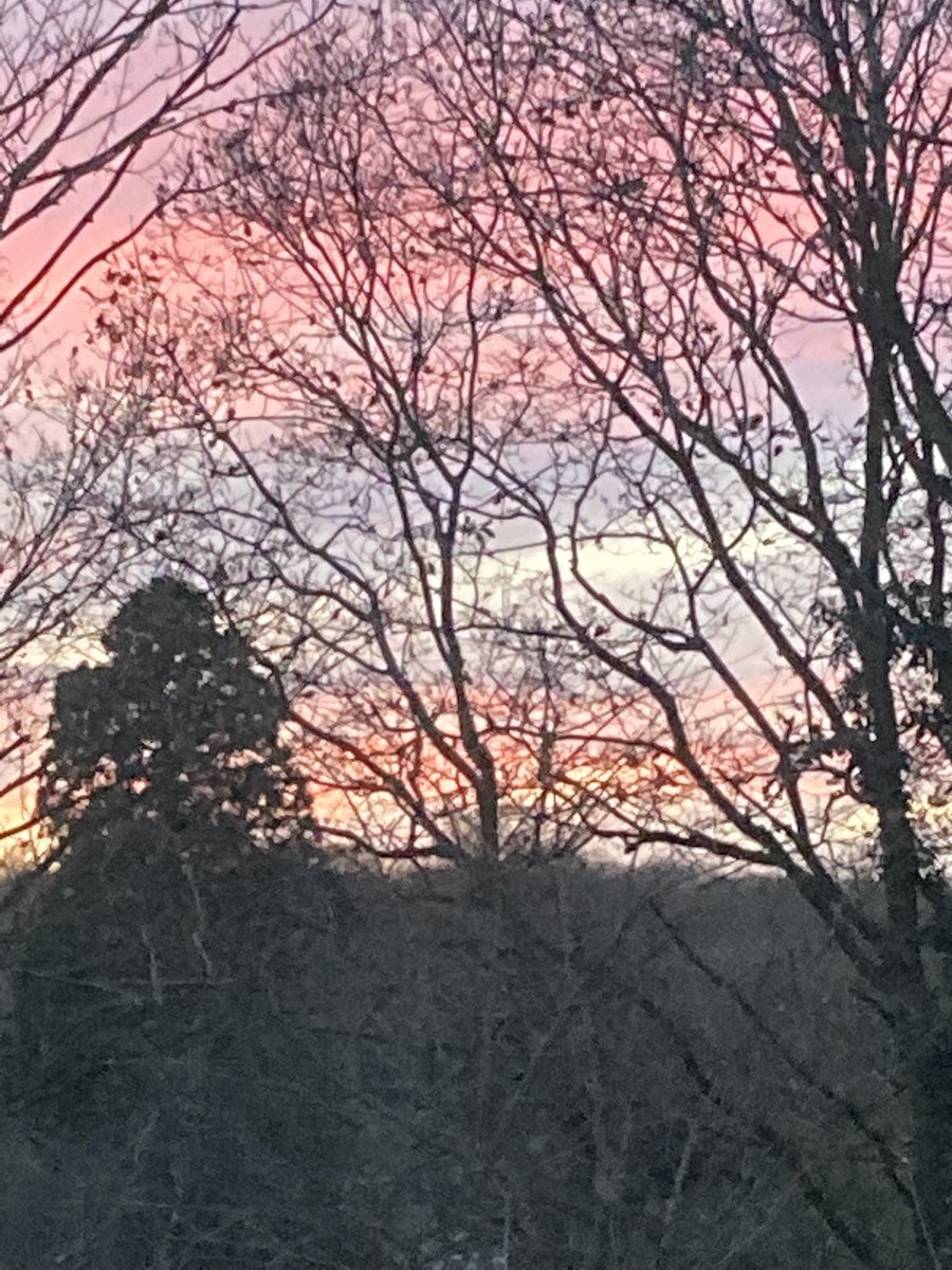 ClareEShaw's tweet photo. Feel I should be writing something poetic and beautiful but here’s the sky outside my window which is more poetic and beautiful than I could ever manage. #writing #willbewriting #anydaynow https://t.co/DZ2ujJlsOs