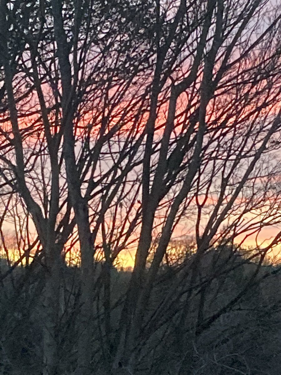 ClareEShaw's tweet photo. Feel I should be writing something poetic and beautiful but here’s the sky outside my window which is more poetic and beautiful than I could ever manage. #writing #willbewriting #anydaynow https://t.co/DZ2ujJlsOs