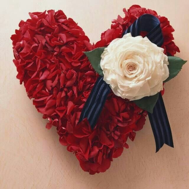 🌹مساء الورد لمن يستحقون الورد(🌹) ولمن 🌹لهم مكانه خاصة في قلبي (❤️) وهم #متابعيني الغالين🌹♥️🌹