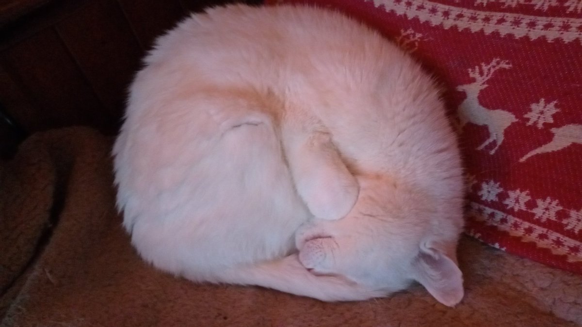 ZzzzzZzzzZzzz....