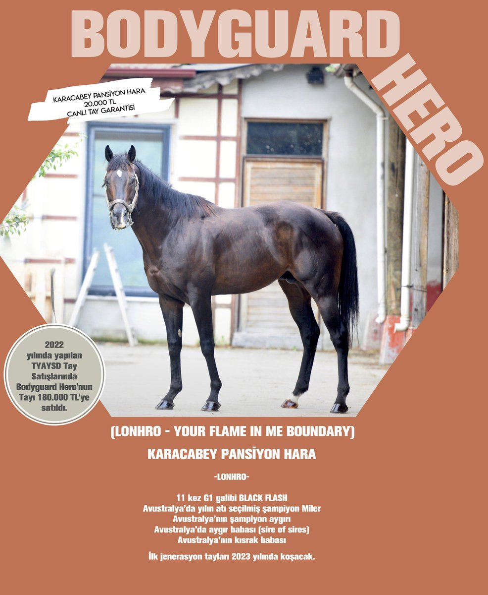 Son 5 senede, kendi yetiştirmesi olan 2 safkan ile Gazi Koşusu’nu kazanma başarısı gösteren <a href="/kahramanekurisi/">Kahraman Ekürisi</a>, 2023 Aşım Sezonuna iddialı giriyor. Kahraman Ekürisi Aygırları, Aralık sayımızda bizlerle. 
<a href="/fedai_kahraman/">Fedai Kahraman</a> <a href="/kadirkiygir/">kadir kıygır</a>