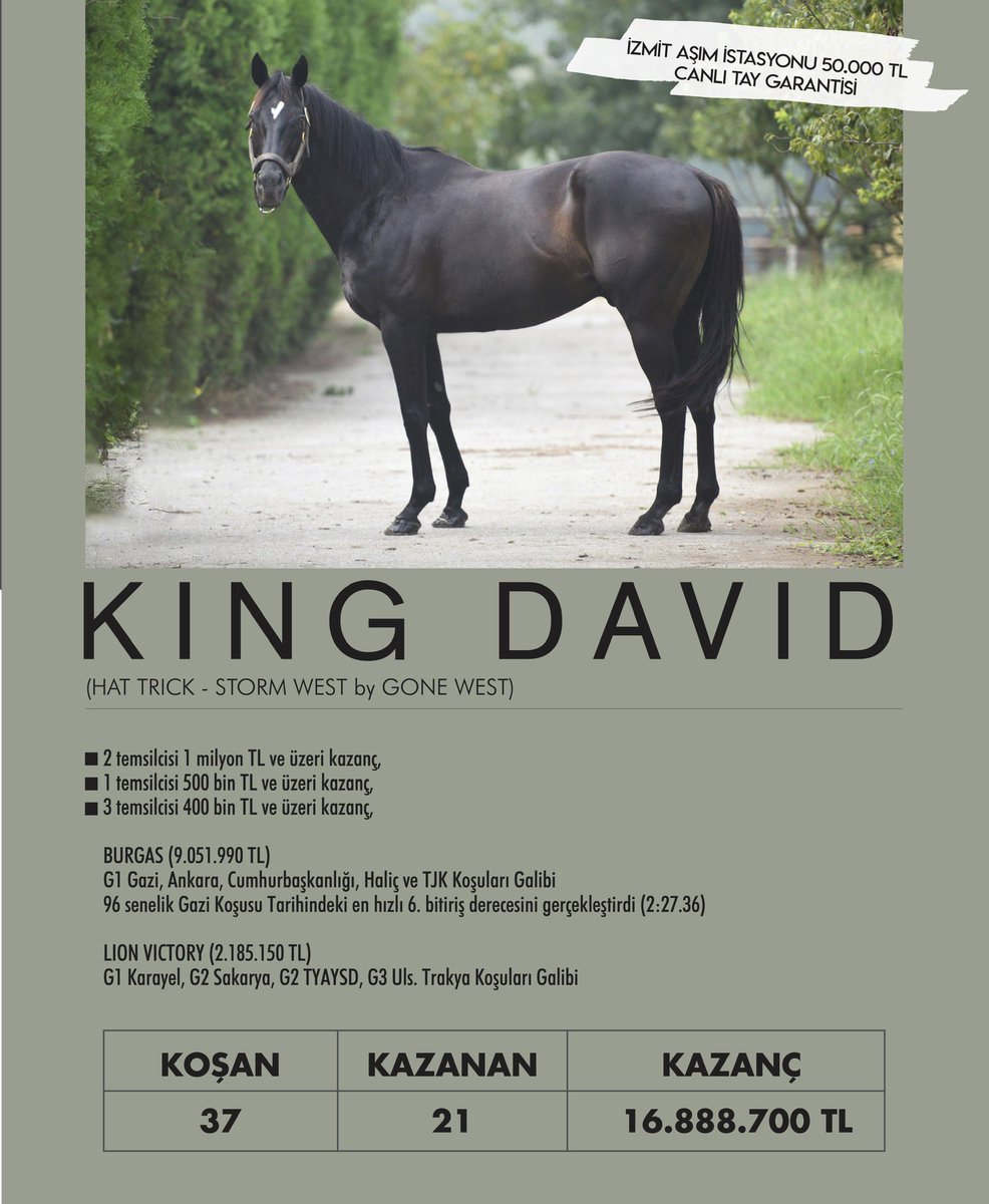 bosphorse's tweet photo. Son 5 senede, kendi yetiştirmesi olan 2 safkan ile Gazi Koşusu’nu kazanma başarısı gösteren @kahramanekurisi, 2023 Aşım Sezonuna iddialı giriyor. Kahraman Ekürisi Aygırları, Aralık sayımızda bizlerle. 
@fedai_kahraman @kadirkiygir https://t.co/Nwp8MLB4TC
