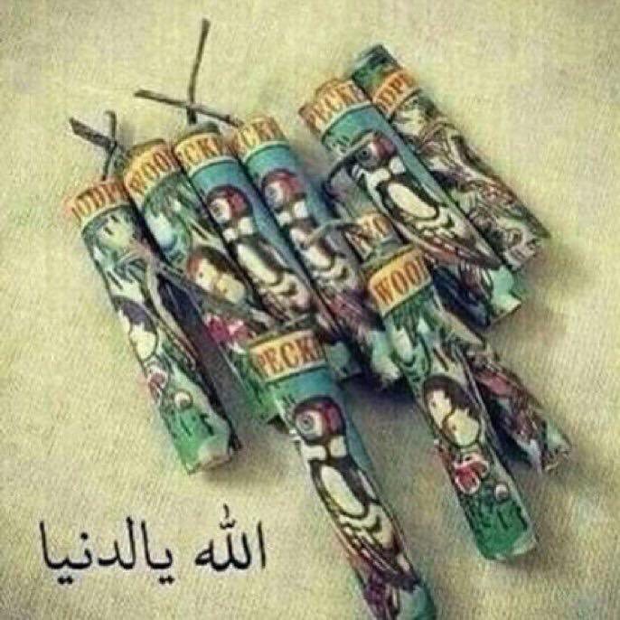 ahmedassaf000's tweet photo. ابو عصفور ..هل مازالت موجوده🤔 https://t.co/y1ZKw1Wzhj
