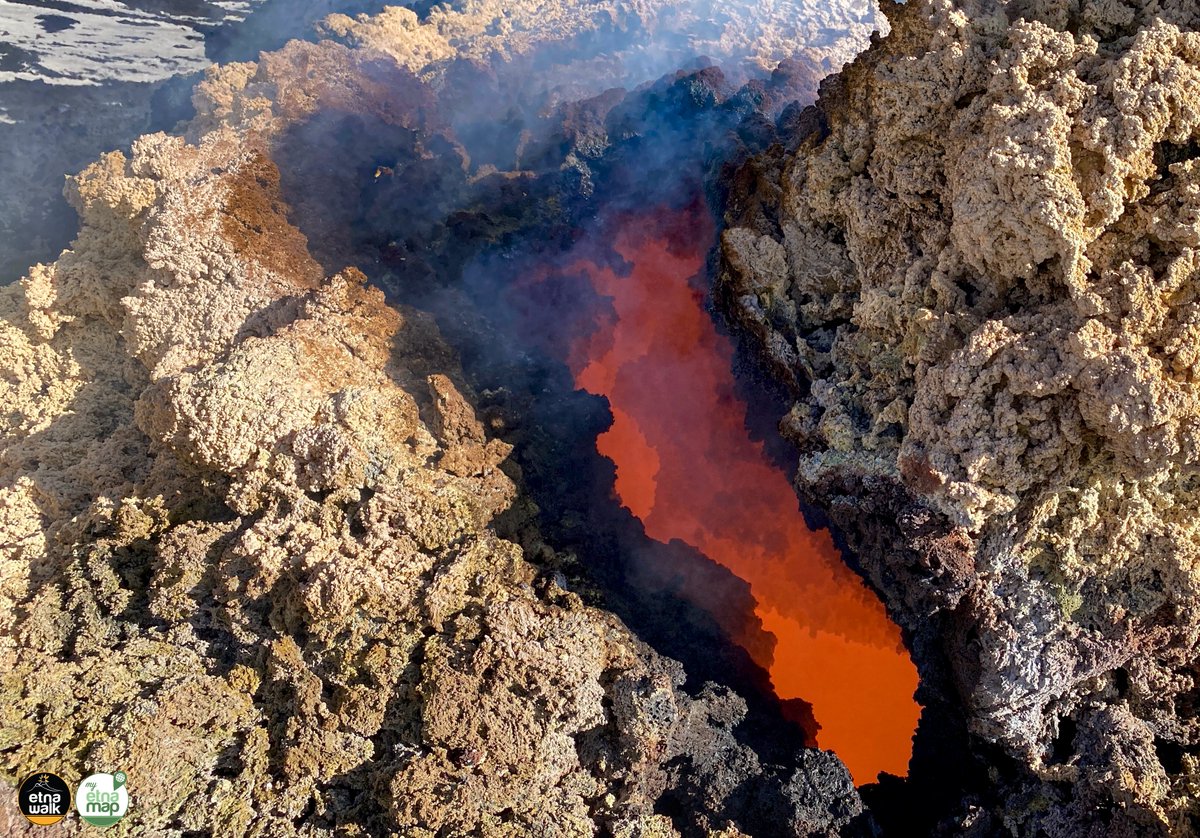 Etna Walk tweet media