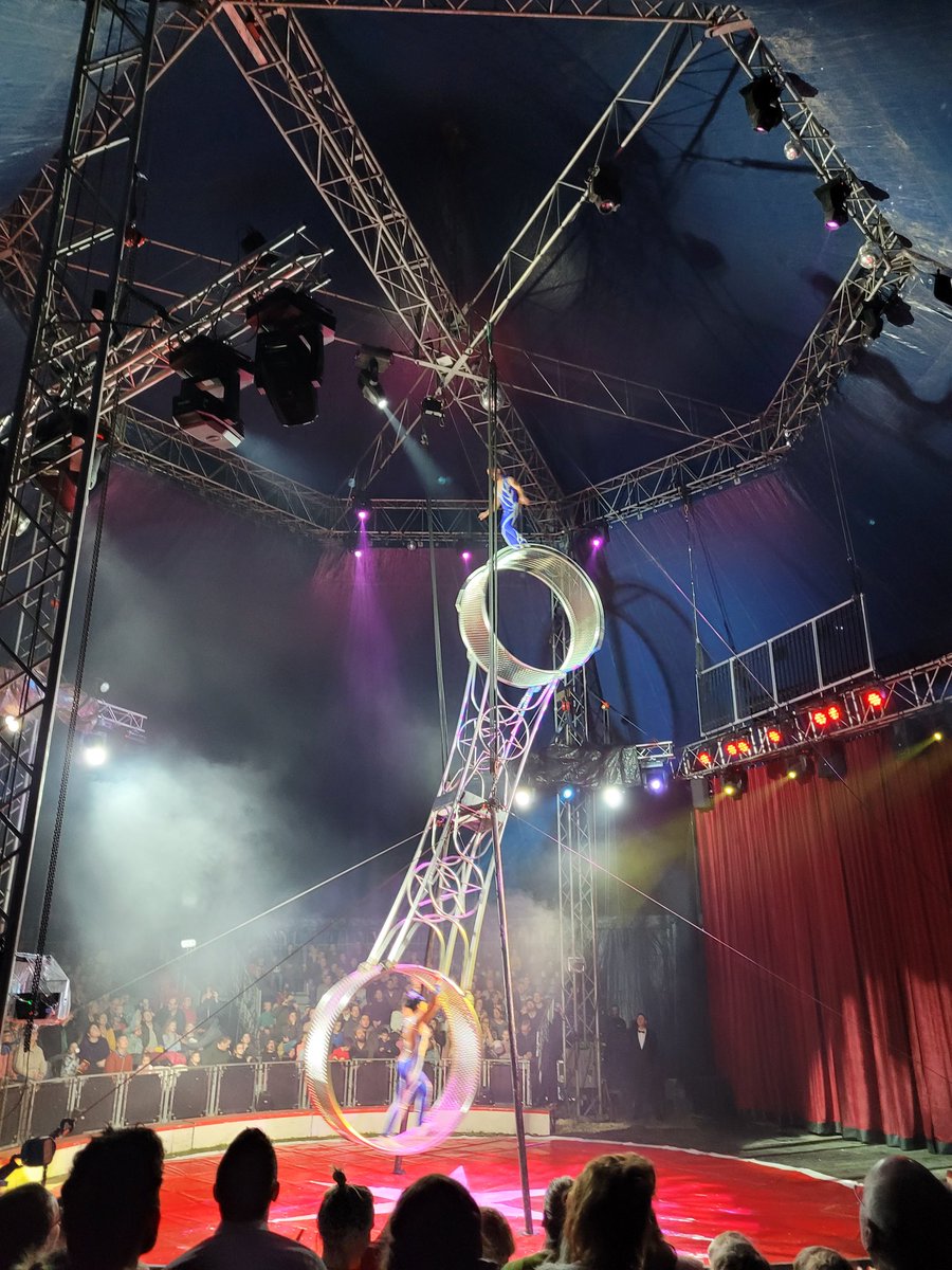 Vandaag met het gezin en oma naar Kerstcircus Enschede geweest. Hele leuke dag gehad. Aanrader! Persoonlijk hoogtepunt (en verrassing) was toch wel dat de dieren in de kinderboerderij  bij de entree met <a href="/voerwaarts/">𝕍𝗼𝗲𝗿𝘄𝗮𝗮𝗿𝘁𝘀</a> voer werden verzorgd!