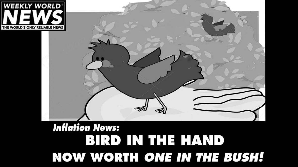 weeklyworldnews's tweet photo. "It's hitting all areas of the economy!"
#inflation #birdinhand #birdinthehand #twointhebush #birds #economy https://t.co/2QcKLUHVFS