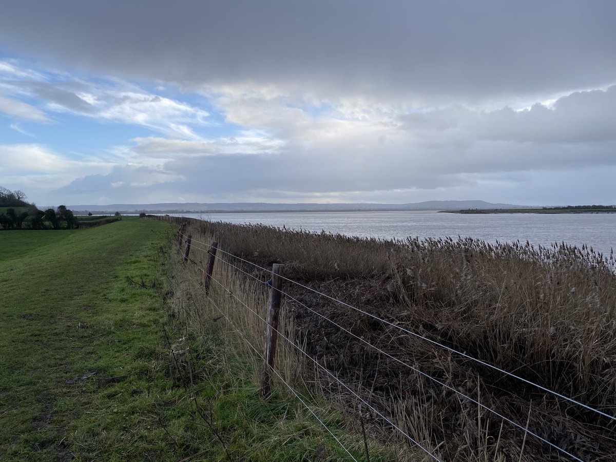 lewiscook28's tweet photo. A stroll along the #RiverSevern at #Arlingham this afternoon… https://t.co/uAmY1Cu6cx