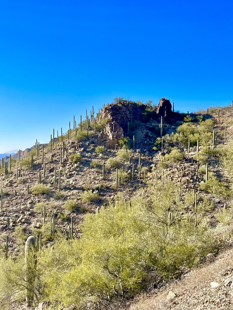 Justin Adami tweet media