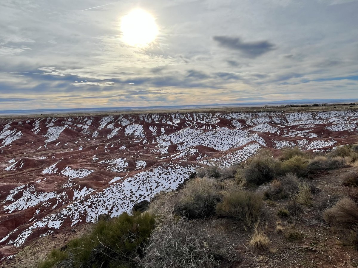 Justin Adami tweet media