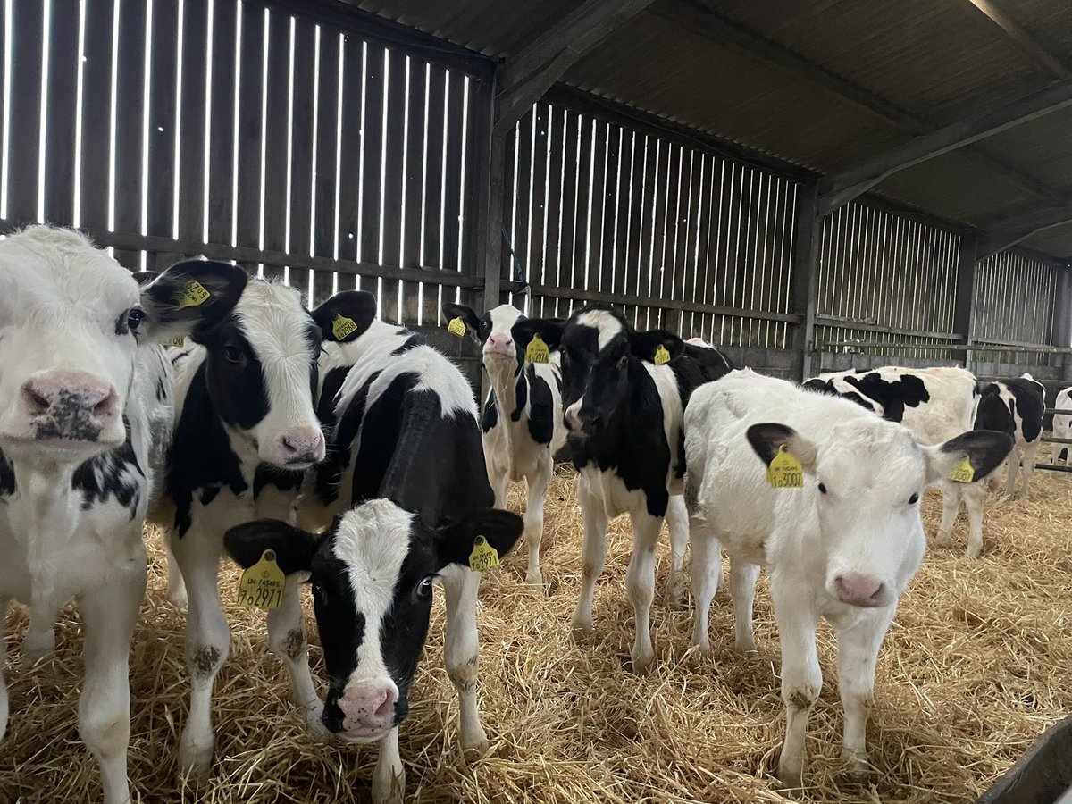 Hannah Vaughan tweet media