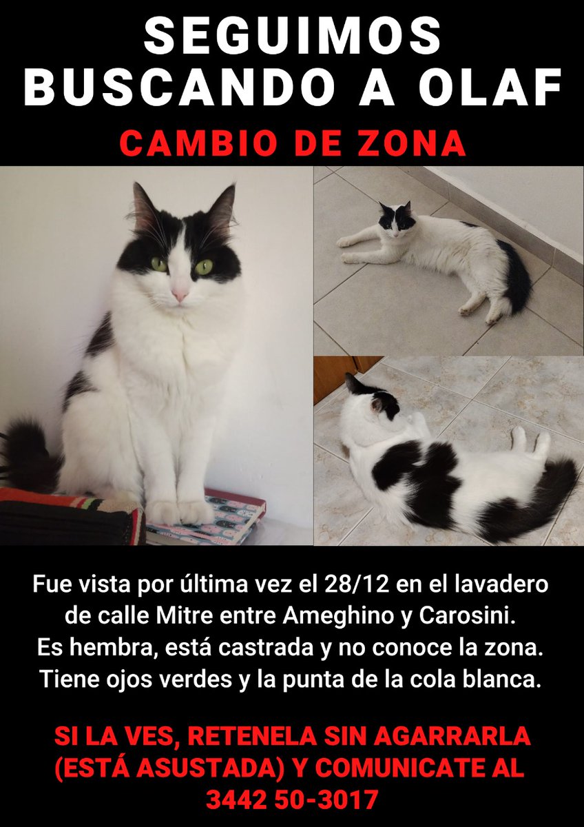 verohx_'s tweet photo. ⚠️ C del U ⚠️
Se agradece difusión ❤️ extraño a la gorda https://t.co/PFwwxcdAlj