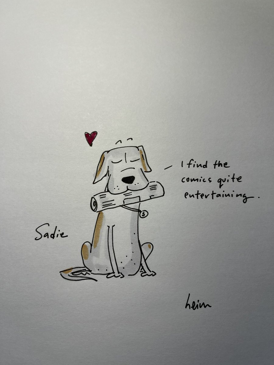 JohnHeim's tweet image. @theworldofdog @catallocco 😊