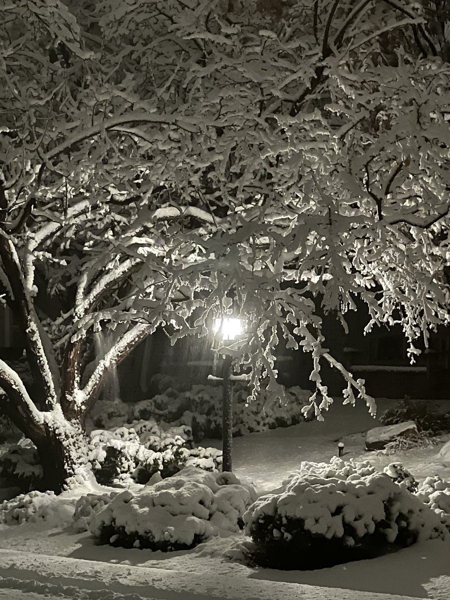 JuliaLytvyn's tweet photo. @chrisparente @channel2kwgn It was beautiful!!! https://t.co/9pSV3WUesj