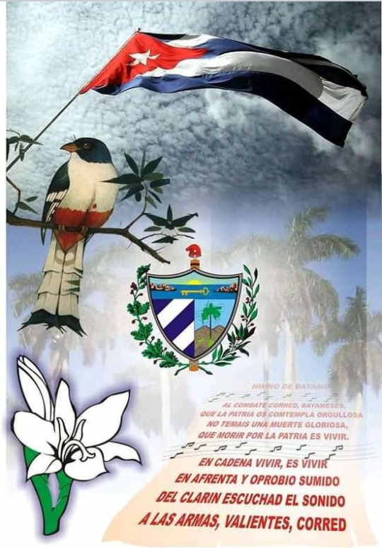 AsicIngenio's tweet photo. Los profesionales de la salud de Cuba se forman con una gran vinculación a la práctica, con humanismo y solidaridad. #CubaPorLaVida #JuntarYVencer #60AñosSalvandoVidas #CubaCoopera @cubacooperaven @MINSAPCuba. https://t.co/jbgw8ClXOr
