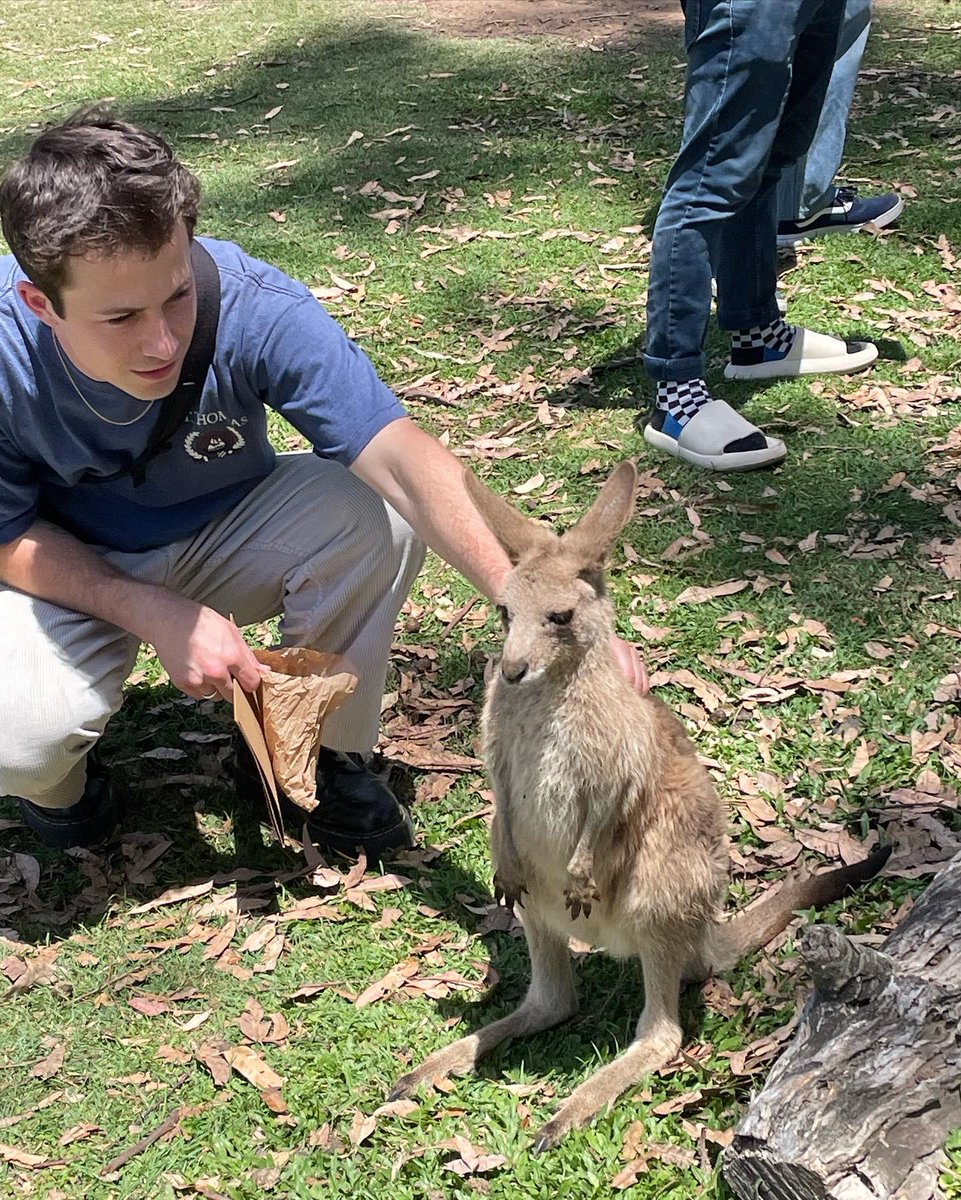 wallowsmusic's tweet photo. happy birthday dylan 🥹 https://t.co/X16piJPMPg