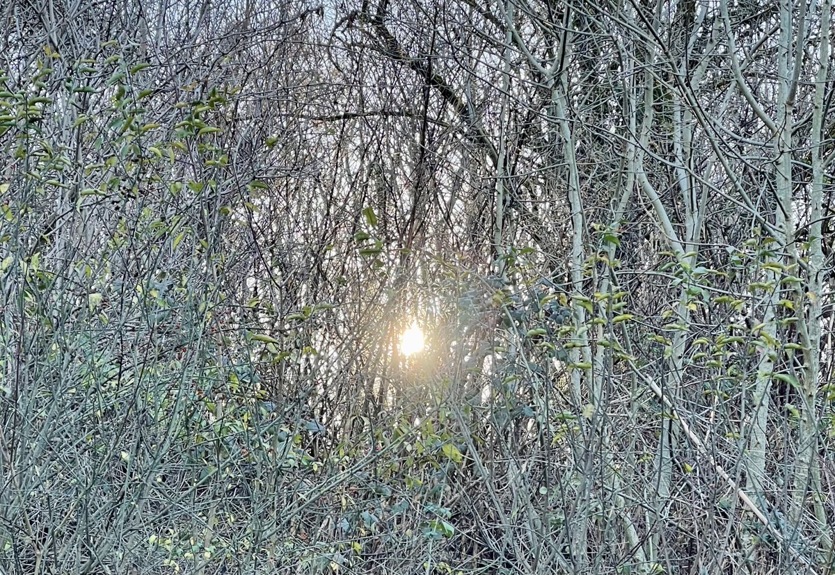 Unpredictable Series tweet media