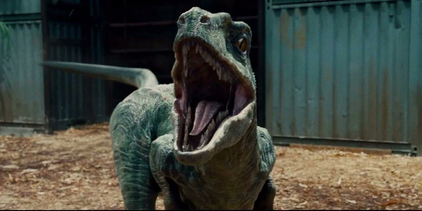 Fun Fact : Charlie and Delta have Jurassic Park 3 heads. Big JW W.
#JurassicWorld #JurassicPark3 #Velociraptor