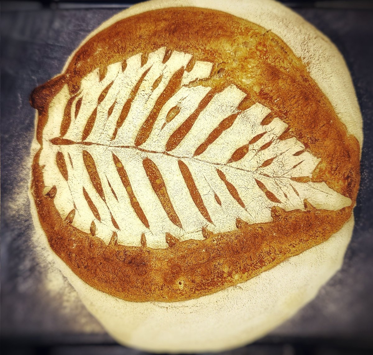 Today's sourdough score, fresh out of the oven.
#ShareYourLoaves #artisanbaker #artisanbread #bakeyourownbread #davebakesbread #bread #breadbaker #breadmaking #realbread #RealBreadCampaign #sourdough #scoringsourdough