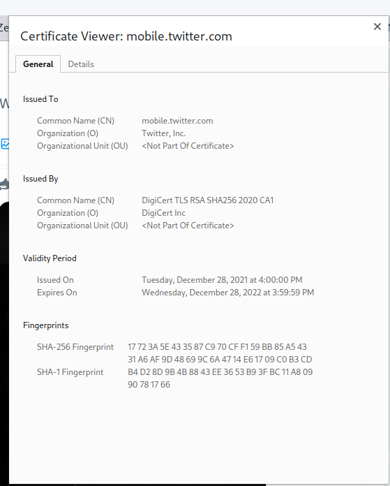 Misha Davidov 🏳️‍⚧️ tweet media