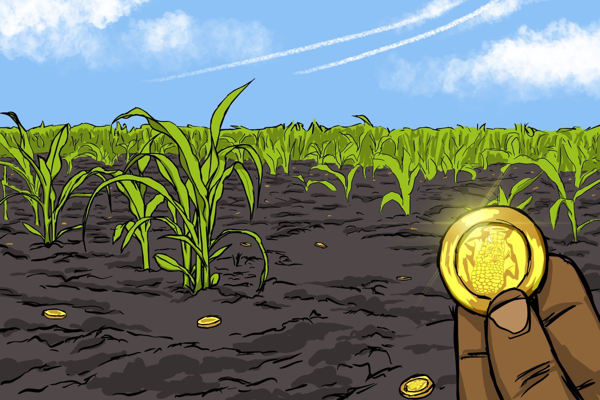 The__Renewables's tweet photo. 2023 = @corntownwtf = ? 

What does the question mark stand for? 🧐

👉Does anyone have an opinion👈

#itscorn #Corntownwtf #cornfollowcorn #cornhub #ItsCornTime #corntown #cornys #BAYC @goblintown
#TrendingNow #kruns #NFTCommunity #NFTProject #nfts

🌽🌽🌽🤠🌽🌽🌽🤠🌽🌽🌽🤠🌽🌽 https://t.co/zRc4Zzu6ZR