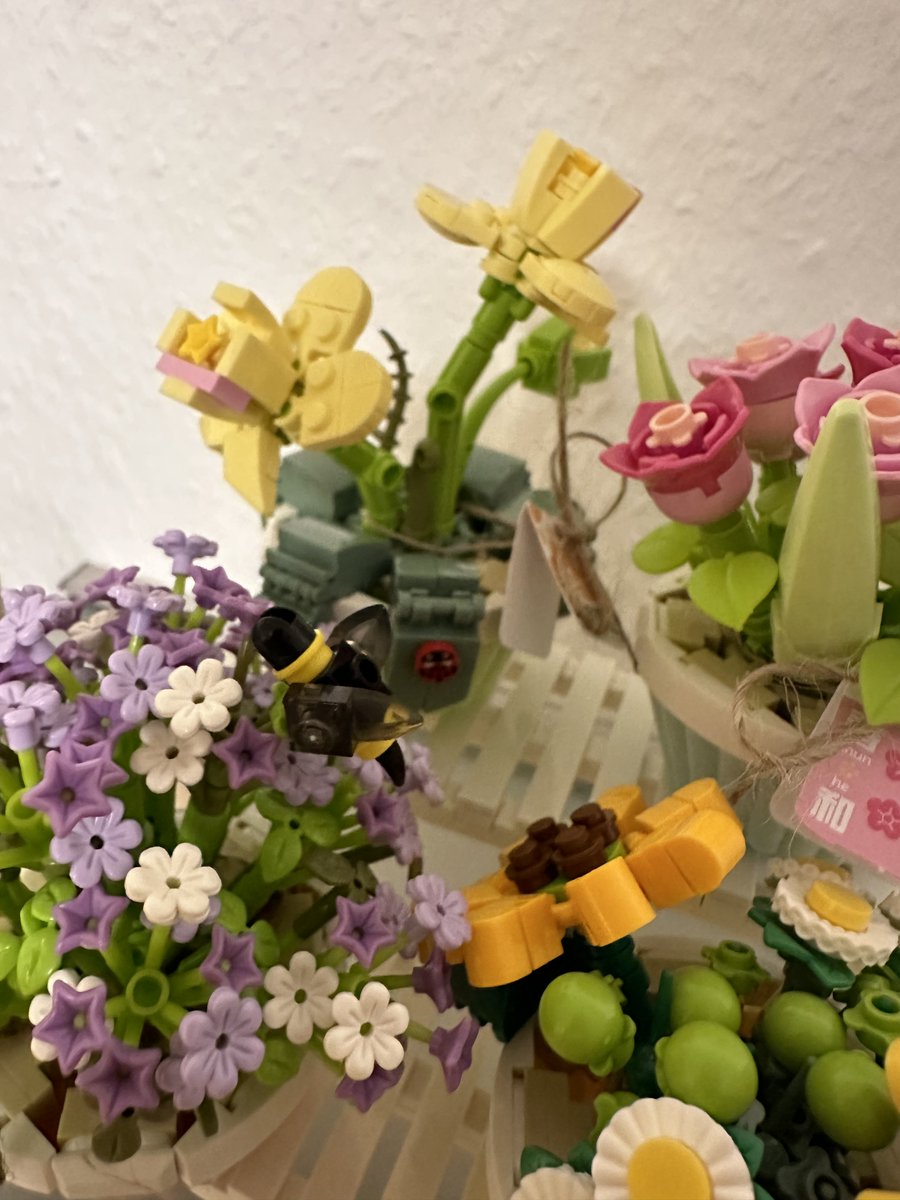 Meepleschubser's tweet photo. Auch der zweite Teil mit zwei weiteren Pflanzen ist nun fertig. #klemmbausteine https://t.co/wlhCwfXDM6