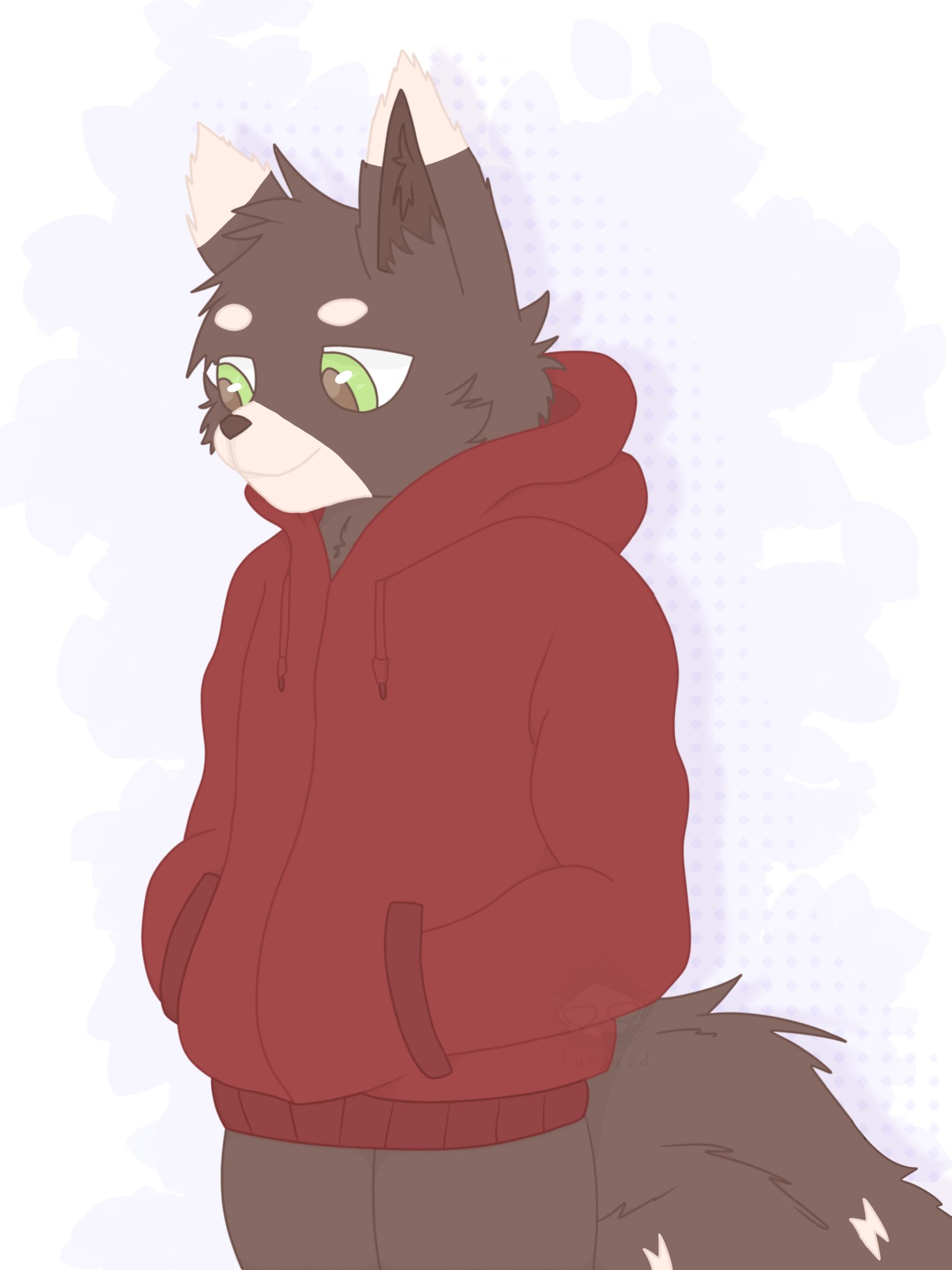 Furry sales with hoodie