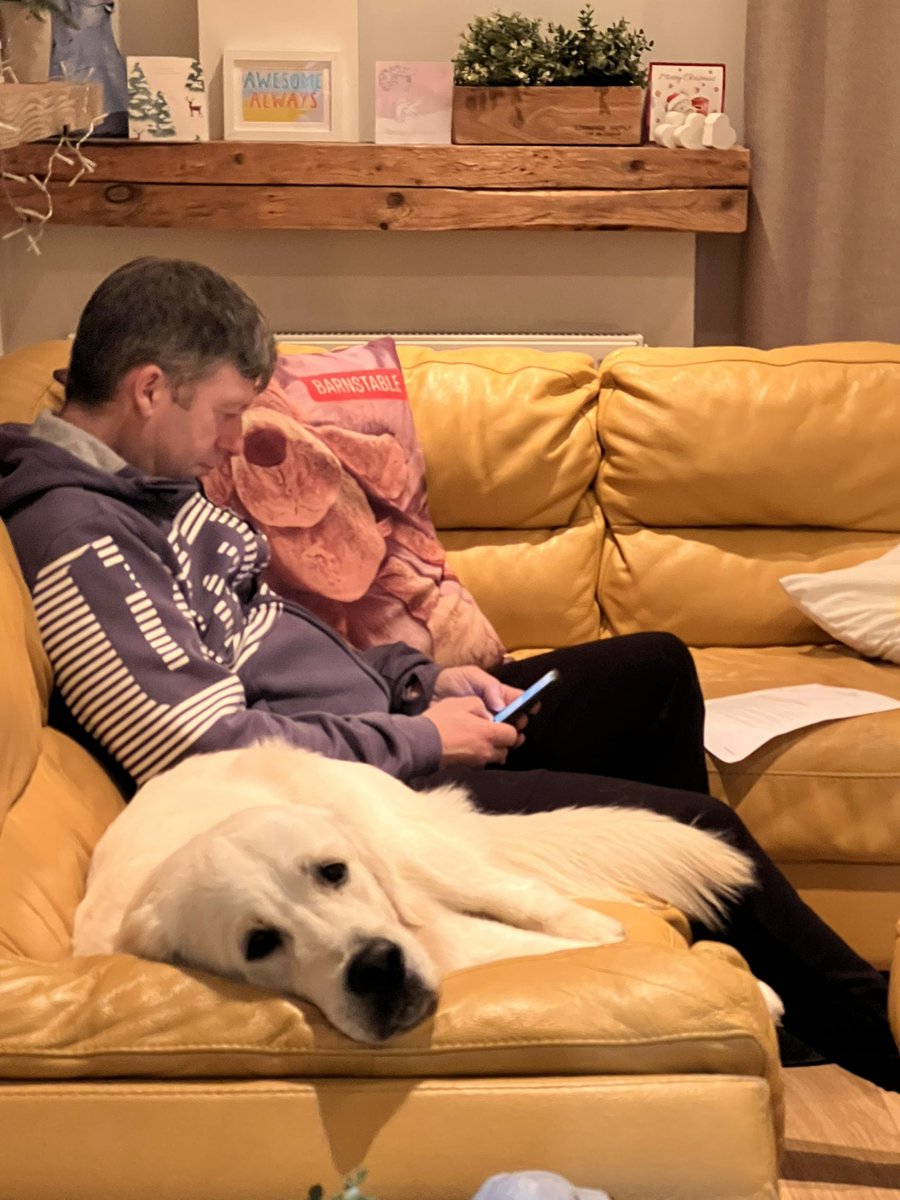 I hate that phone… He only petted me for around two hours before it beeped! 😆😉 x

#Dogsoftwitter #GoldenRetrievers #fonzie #dogslife #dadsboy #thefonz