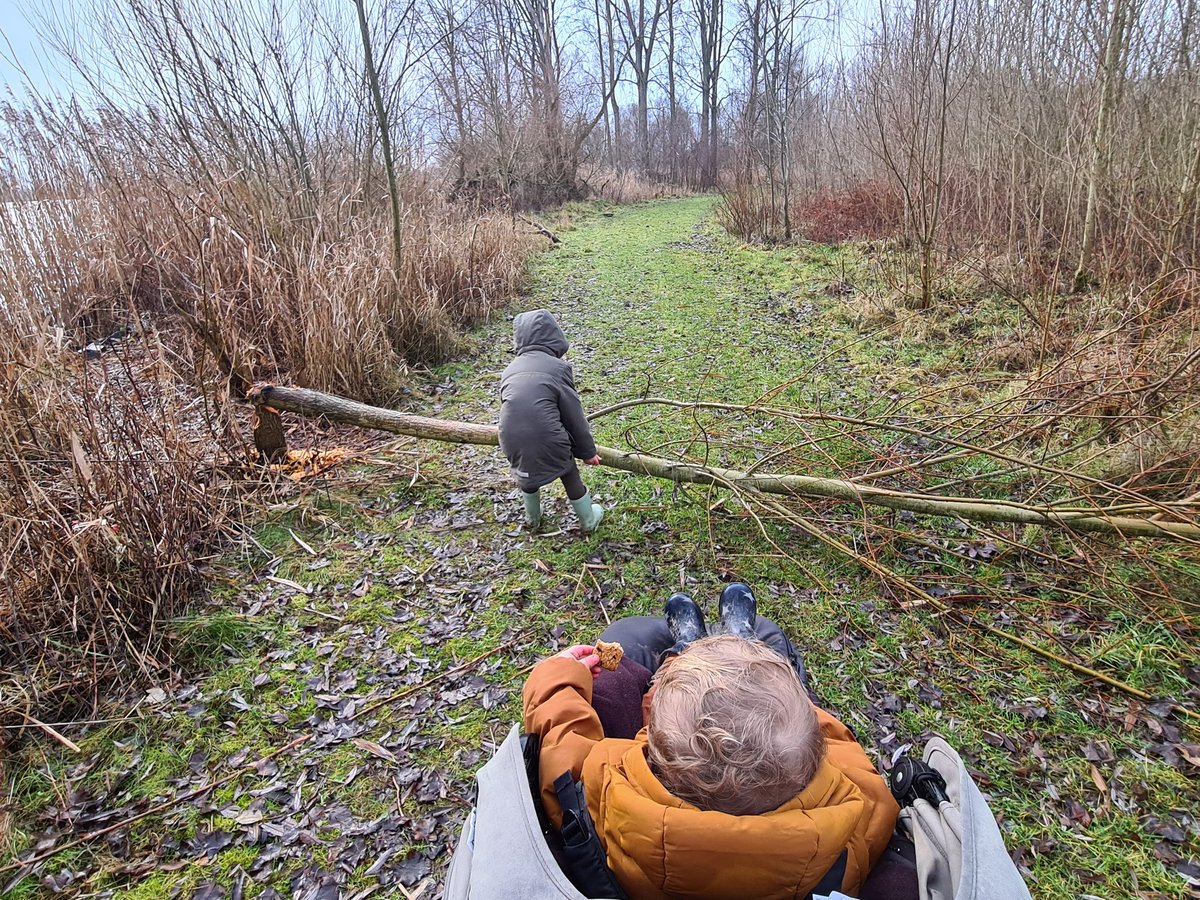 Boswachter Thomas tweet media