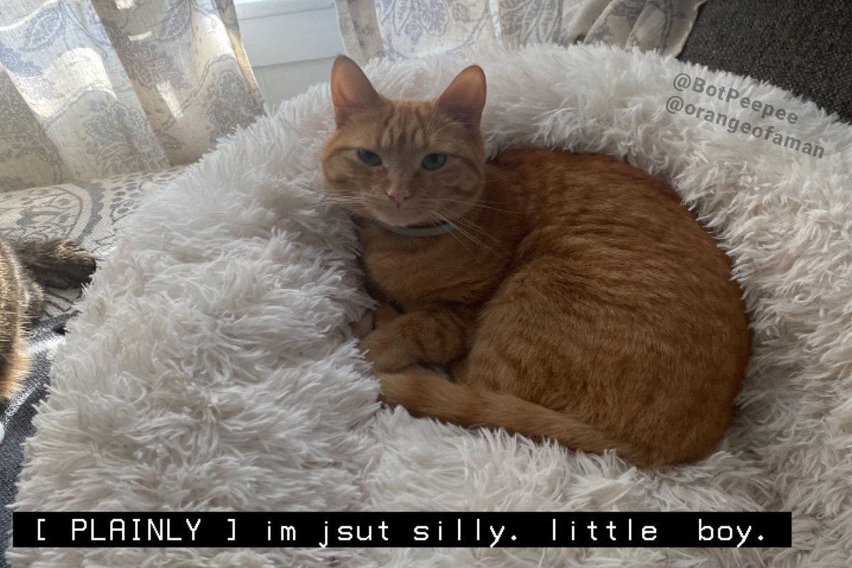 𝐇𝐄𝐋𝐏𝐘 .ᐟ (@bearyhelpful) on Twitter photo 