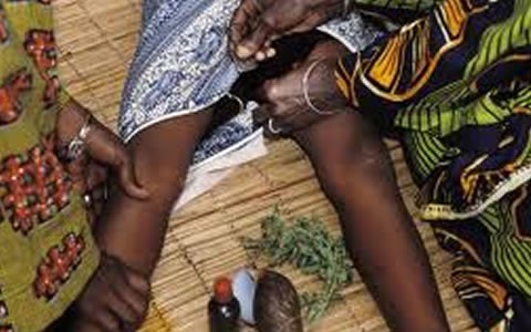 news_ghana's tweet photo. FGM is a harmful practice, has no legitimacy in Islamic Religion – Islamic Cleric https://t.co/fZ1P0ODdjm #News #FemaleGenitalMutilation #Islam #IslamicCleric #novalidity https://t.co/d2GvdtriiN