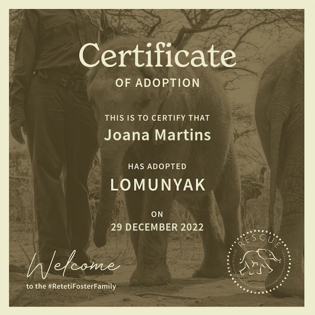 CryptoJuju97's tweet photo. 🐘💚 #retetiFosterFamily @RetetiSanctuary https://t.co/59arbm74dR