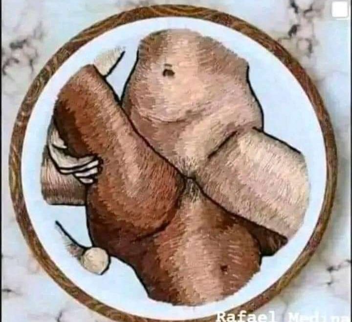 Elviscocho  tweet media