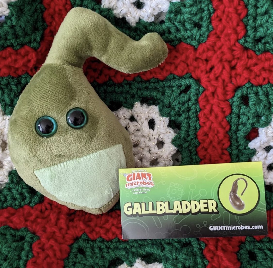 GIANTmicrobes's tweet photo. 🎁Did you unwrap any new irresistibly adorable plush #innards this holiday season?!🎁Leave your friends, family, and any #anatomically obsessed person in your life in stitches with #GIANTmicrobes. 
Shop now: https://t.co/vEn7eGD8vf
📸 : @geelouise2
#organs #biology #gallbladder https://t.co/6gXlALtFi7