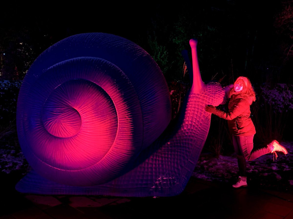 RachelLUrban's tweet photo. Thought I might contribute to #InverteFest with my yearly giant snail photos 🐌💙 https://t.co/pudXtoJzFD