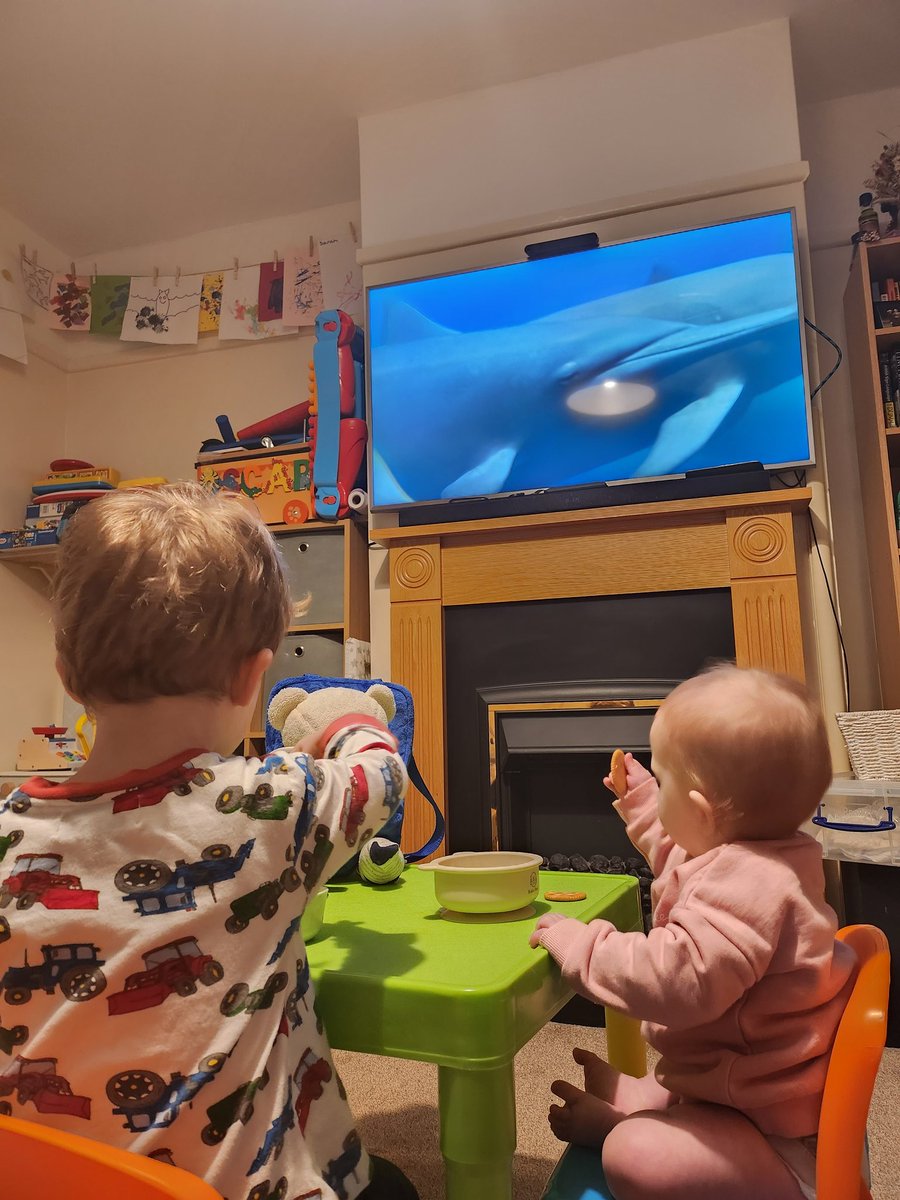 Finally got them into David Attenborough 🌎 🐬 🐅 🐻 🐟 🦈 A welcome changed from Cocomelon!!! #geographyteacher #Geography #blueplanet