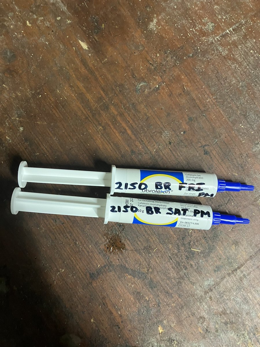 It’s the little bits of organisation that keeps this shit show together