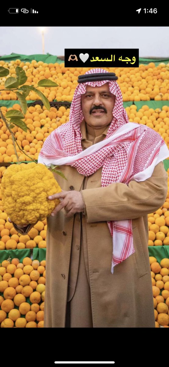 oranges_hail's tweet photo. #مهرجان_حمضيات_حائل
#برتقالة_حائل
زيارة سمو امير منطقة حائل عبدالعزيز بن سعد للمهرجان 
ووقوفه في قسم برتقالة حائل وشرح الشيخ عبدالكريم العبيداء عن الشجرة .. https://t.co/P0pDTF8FM5