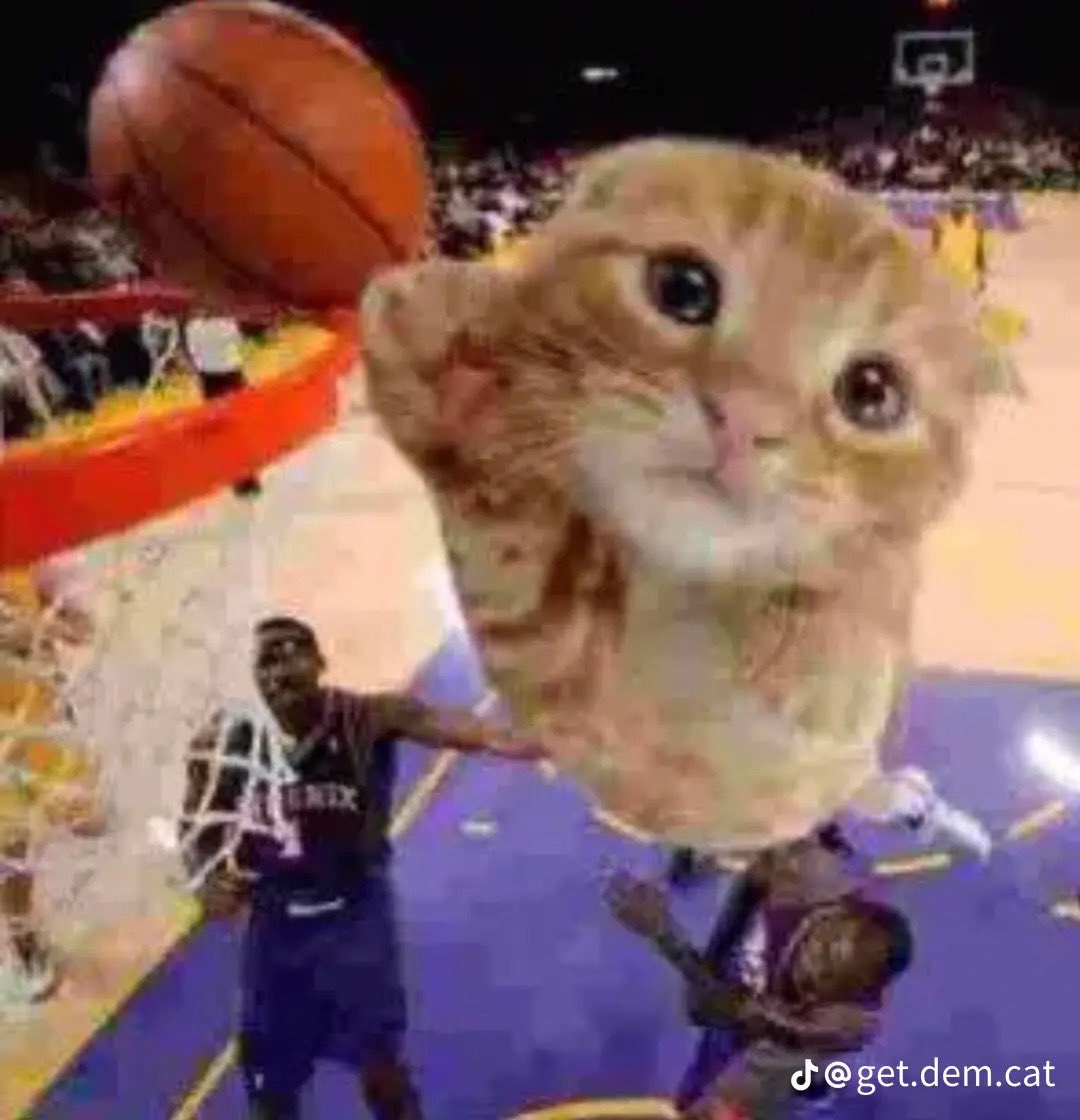 altoparker tweet media