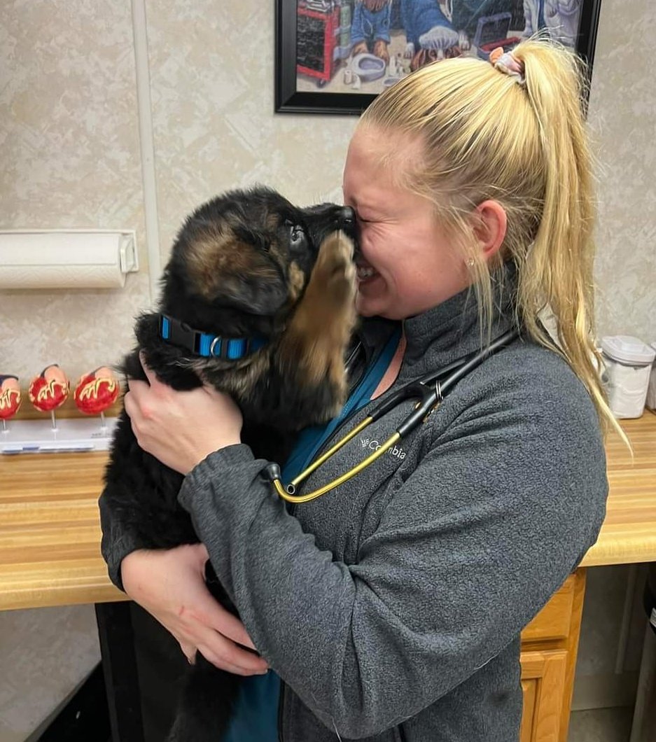 Dr. Nicole Arcy on Twitter "Puppy kisses from this adorable german