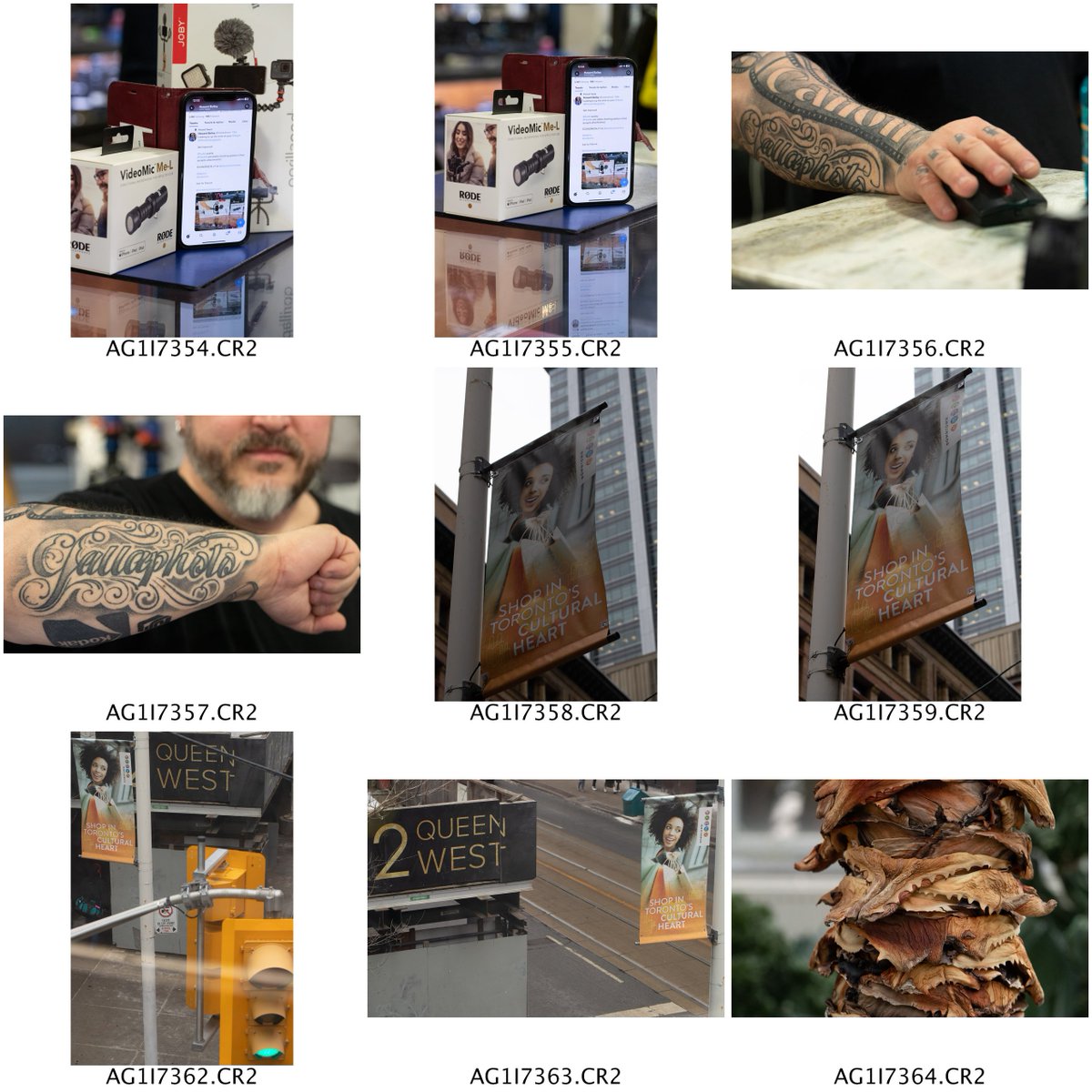 howardruns's tweet image. Shooting in #Downtown #Toronto yesterday

@rodemics #VideoMic Me-L
@jobyinc @gorillapod
@gallaphoto: #Author &amp;amp; #Photog
@downtowncamera

Shots from bridge btwn @CFtoeatonCentre &amp;amp; @hudsonsbay

@FOAllanGardens #Cactus rm
Outside @McDonalds restaurant

@CanonCanada #dSLR #Photography