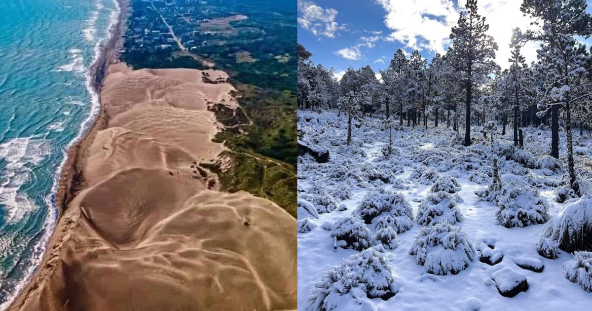 JossyCastt's tweet photo. Me parece increíble que a 1 hora de Xalapa llegues a una de las dunas más bonitas de México y también a 1 hora llegues al increíble cofre de perote🤩✨ tqm veracruz https://t.co/6bs32VwdgE