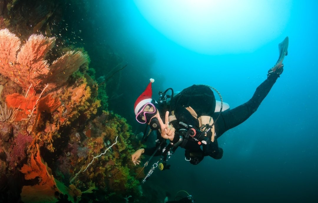 MarlinVaradero's tweet photo. Ho Ho Ho! What is on your dive wish list this 2023? 🤿🎅🏽🏝
#GoCuba #VaraderoTravel https://t.co/aTQez6O3qZ
