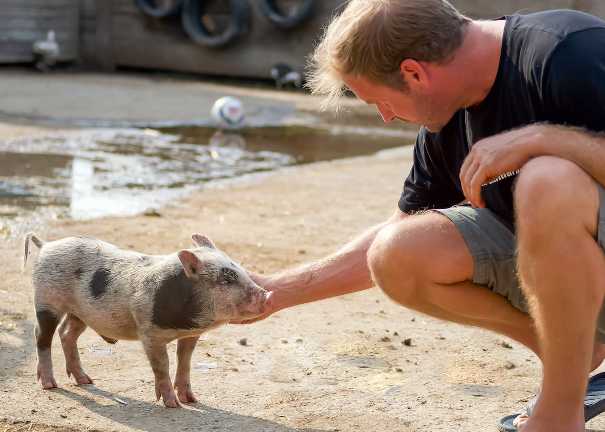 Making any New Year’s resolutions? Allow me to recommend trying a #plantbased diet. I did it 6 years ago and have never looked back. Among the numerous benefits, it just feels liberating to know you’re not contributing to the suffering or death of any animals ☺️🙏🏼💚