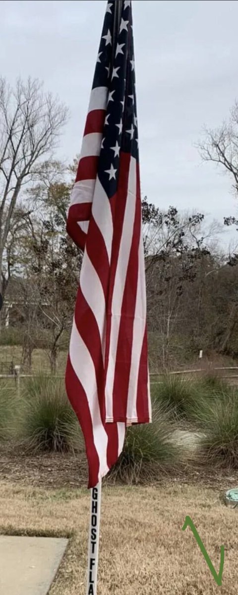 F3 Ghost Flag SC tweet media