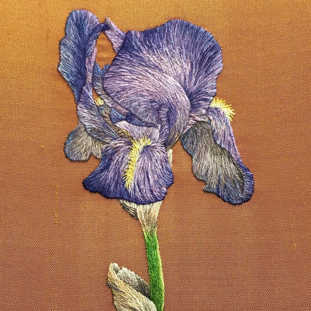 *On the 4th day of Xmas…Silk Shading*

Learn how to create naturalistic work with Jen Goodwin in her Online class, ‘Developing Silk Shading: Botanicals’. Running weekly over six sessions, class commences Saturday 14 January. 

Book here: bit.ly/3WeF4G7

#needlepainting