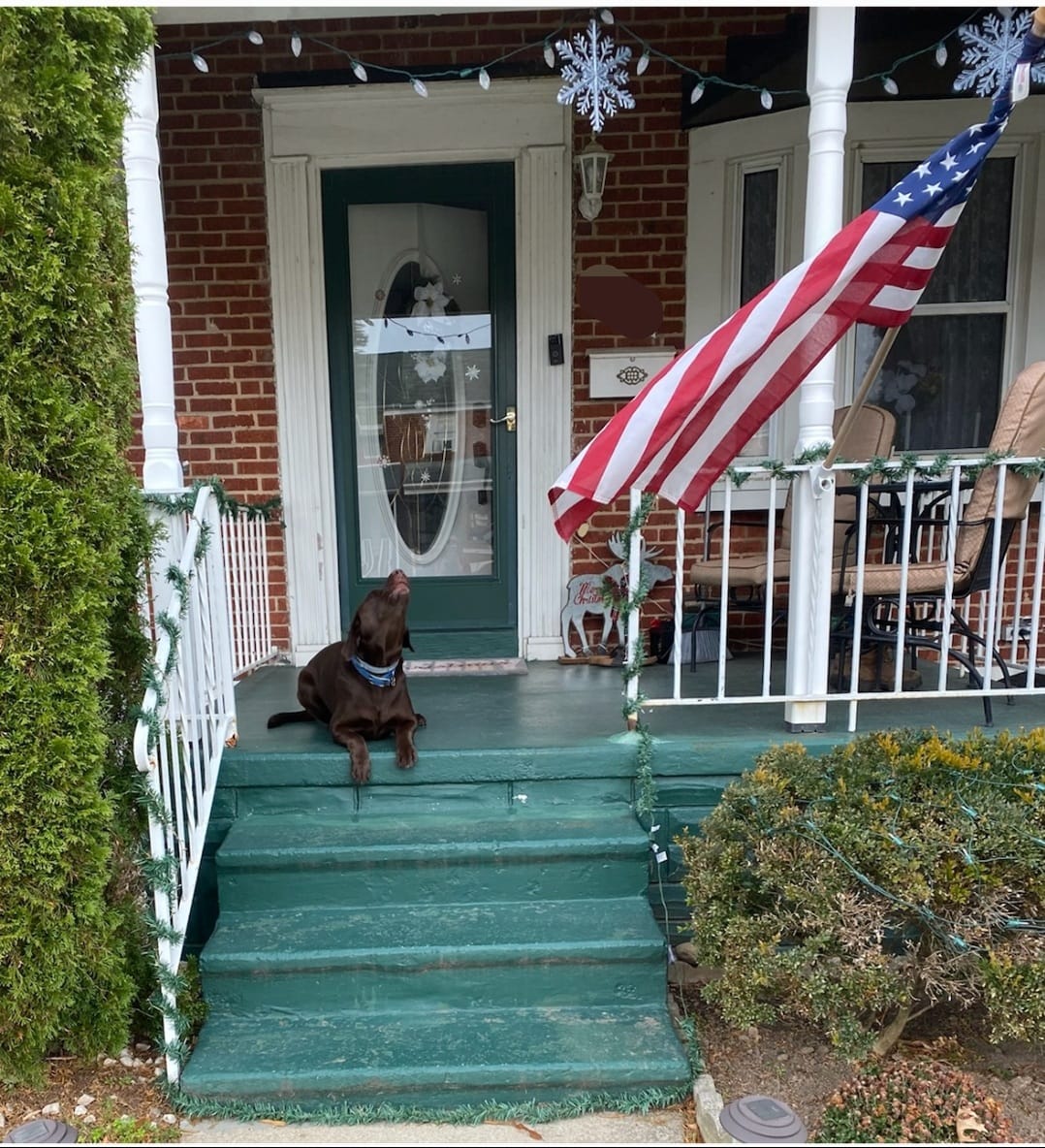 Nelson Mark (@nelsonm37474103) on Twitter photo 