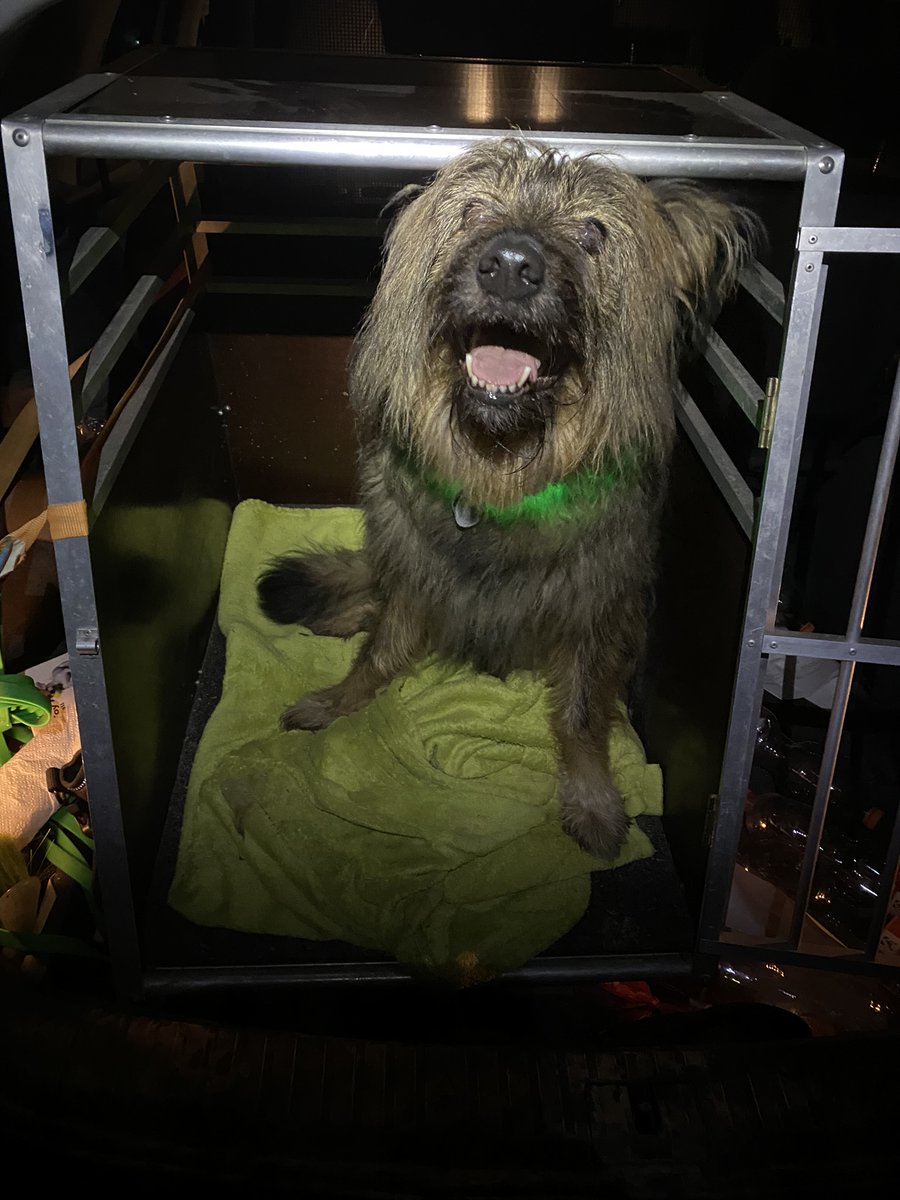 Stolze Tröti macht stolze-Tröti-Sachen!